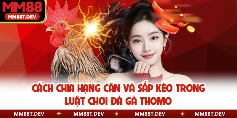 Luật Chơi Đá Gà Thomo Chi Tiết Trên Nền Tảng MM88 3 Cách chia hạng cân và sắp kèo trong luật chơi đá gà Thomo