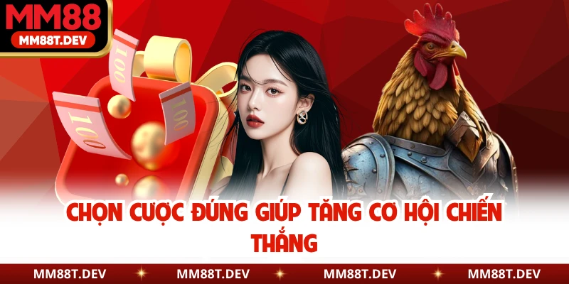 Luật Chơi Đá Gà Cựa Sắt Chuẩn Chỉnh Cho Hội Viên MM88 3 Chọn cược đúng giúp tăng cơ hội chiến thắng