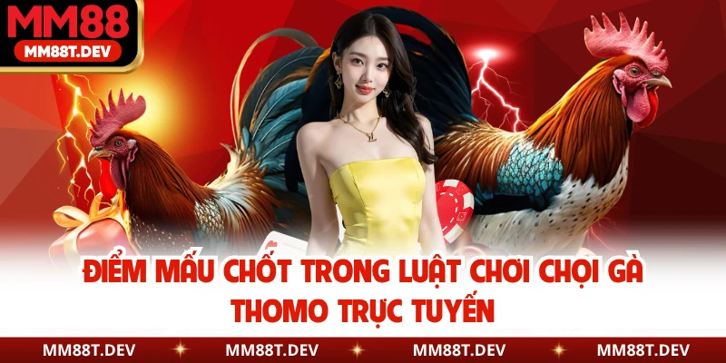 Luật Chơi Đá Gà Thomo Chi Tiết Trên Nền Tảng MM88 2 Điểm mấu chốt trong luật chơi chọi gà Thomo trực tuyến