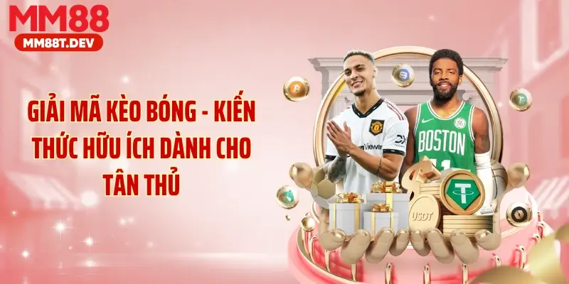 Giải Mã Kèo Bóng - Kiến Thức Hữu Ích Dành Cho Tân Thủ