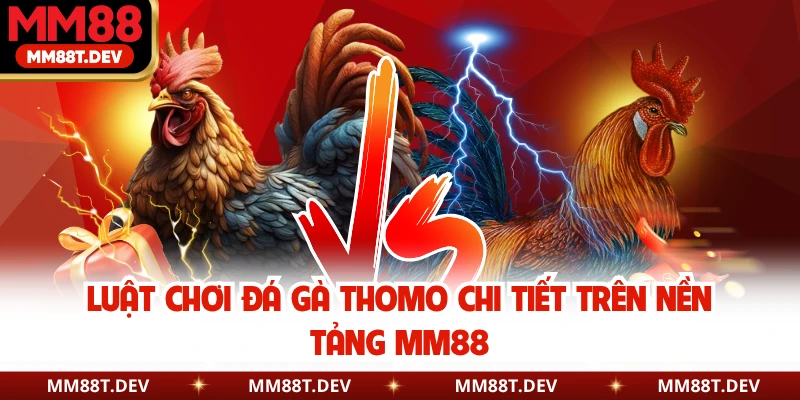 Luật Chơi Đá Gà Thomo Chi Tiết Trên Nền Tảng MM88 1 Luật Chơi Đá Gà Thomo Chi Tiết Trên Nền Tảng MM88