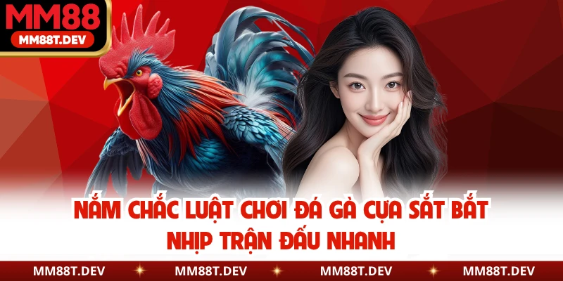 Luật Chơi Đá Gà Cựa Sắt Chuẩn Chỉnh Cho Hội Viên MM88 2 Nắm chắc luật chơi đá gà cựa sắt bắt nhịp trận đấu nhanh
