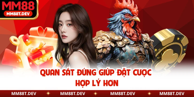Luật Chơi Đá Gà Cựa Sắt Chuẩn Chỉnh Cho Hội Viên MM88 5 Quan sát đúng giúp đặt cược hợp lý hơn