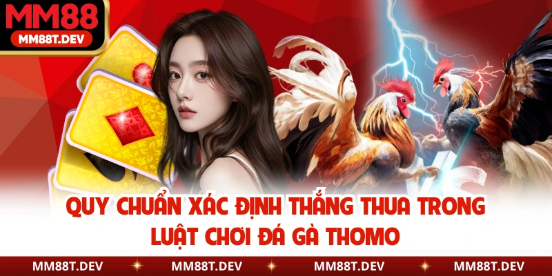 Luật Chơi Đá Gà Thomo Chi Tiết Trên Nền Tảng MM88 4 Quy chuẩn xác định thắng thua trong luật chơi đá gà Thomo
