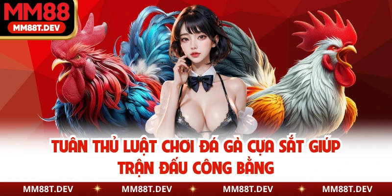 Luật Chơi Đá Gà Cựa Sắt Chuẩn Chỉnh Cho Hội Viên MM88 6 Tuân thủ luật chơi đá gà cựa sắt giúp trận đấu công bằng